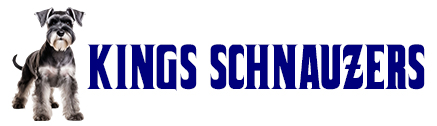 Kings Schnauzers