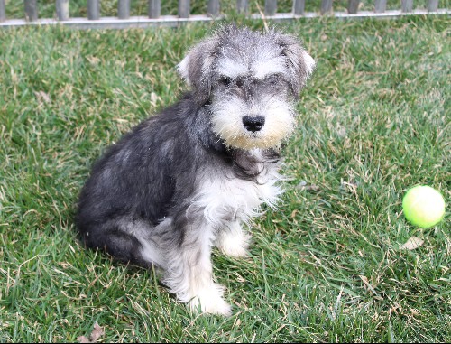 #